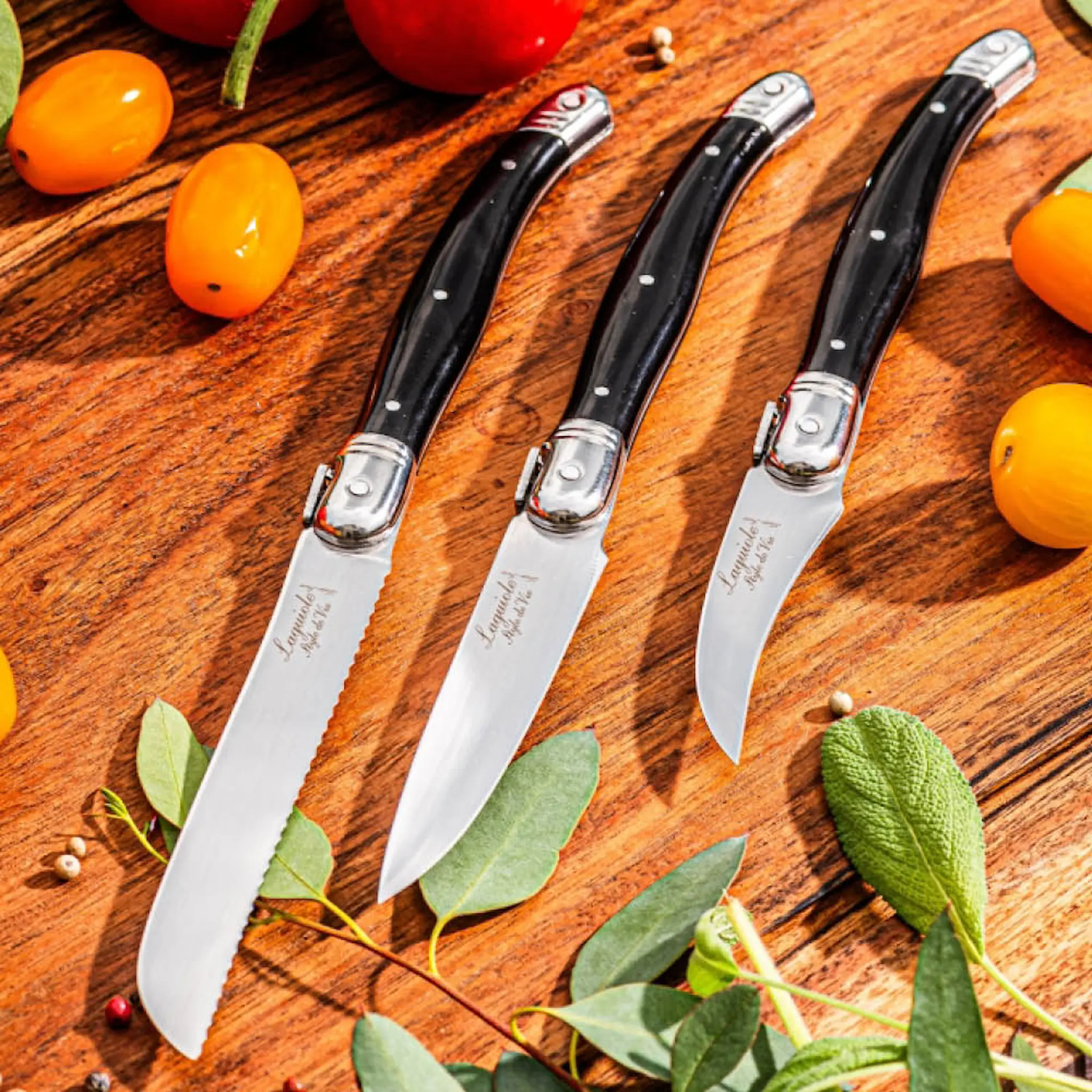 Laguiole Style de Vie Knivset 3 delar svart