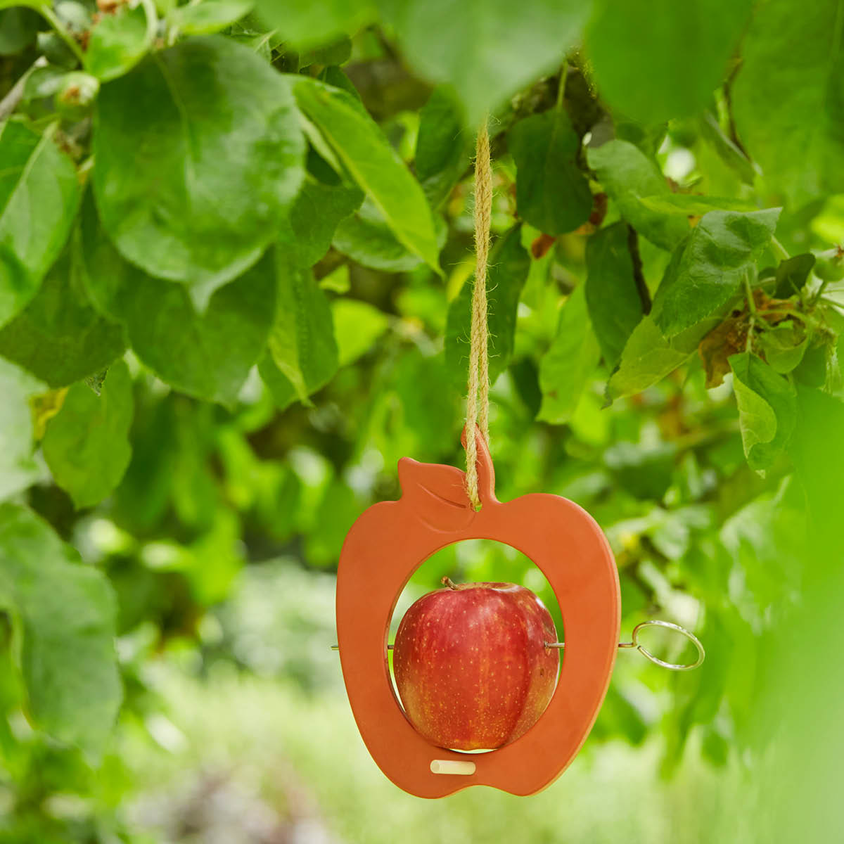 Point Virgule Fågelmatare 18 cm terrakotta