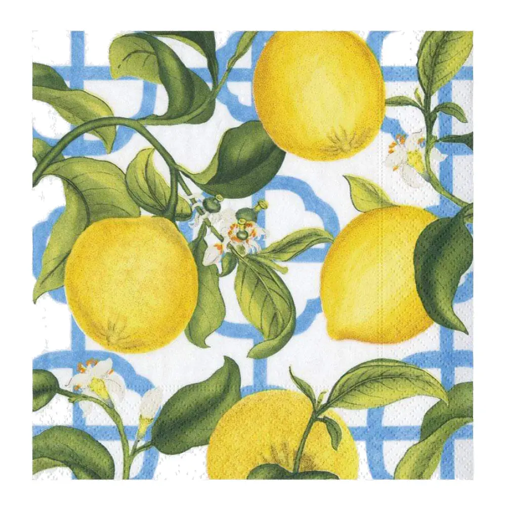 Seville servetti 33x33 cm 20 kpl