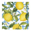 Seville servett 33x33 cm 20-pack gul/blå/grön