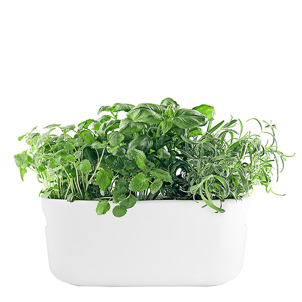 Eva Solo - Herb OrganiserItsekasteleva Yrttiruukku Valkoinen