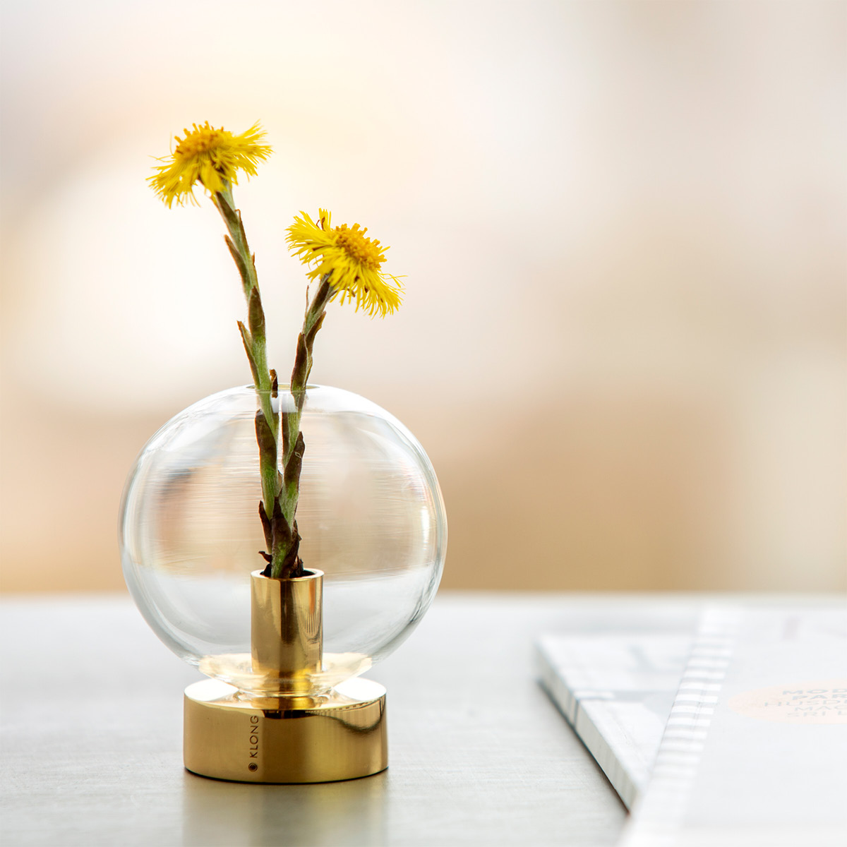 Klong Orbis Maljakko 8x7 cm Lasi/Messinki