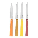 Bon Appetit kniv 22 cm 4-pack citrus