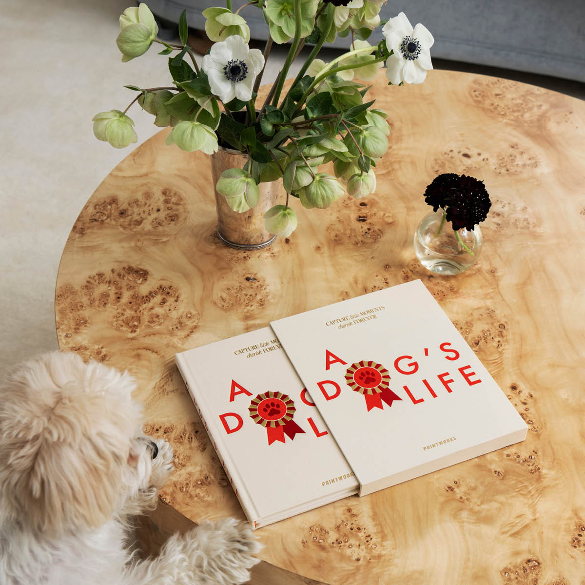 Printworks A Dog’s Life hundjournal