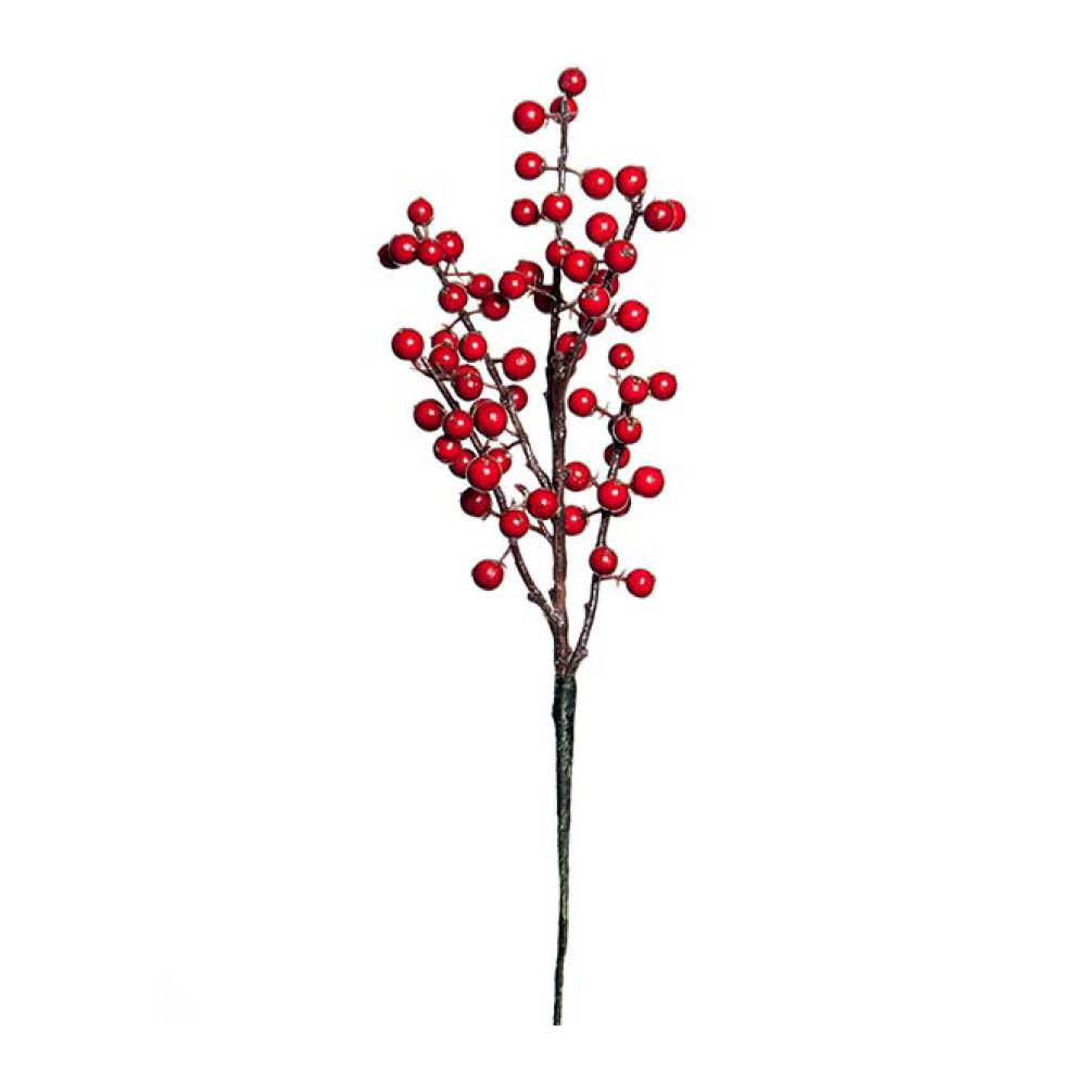 Mr Plant Bärkvist 35 cm röd