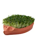 Groddkruka i keramik 25x16 cm