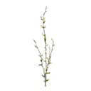 Vide 85 cm grön
