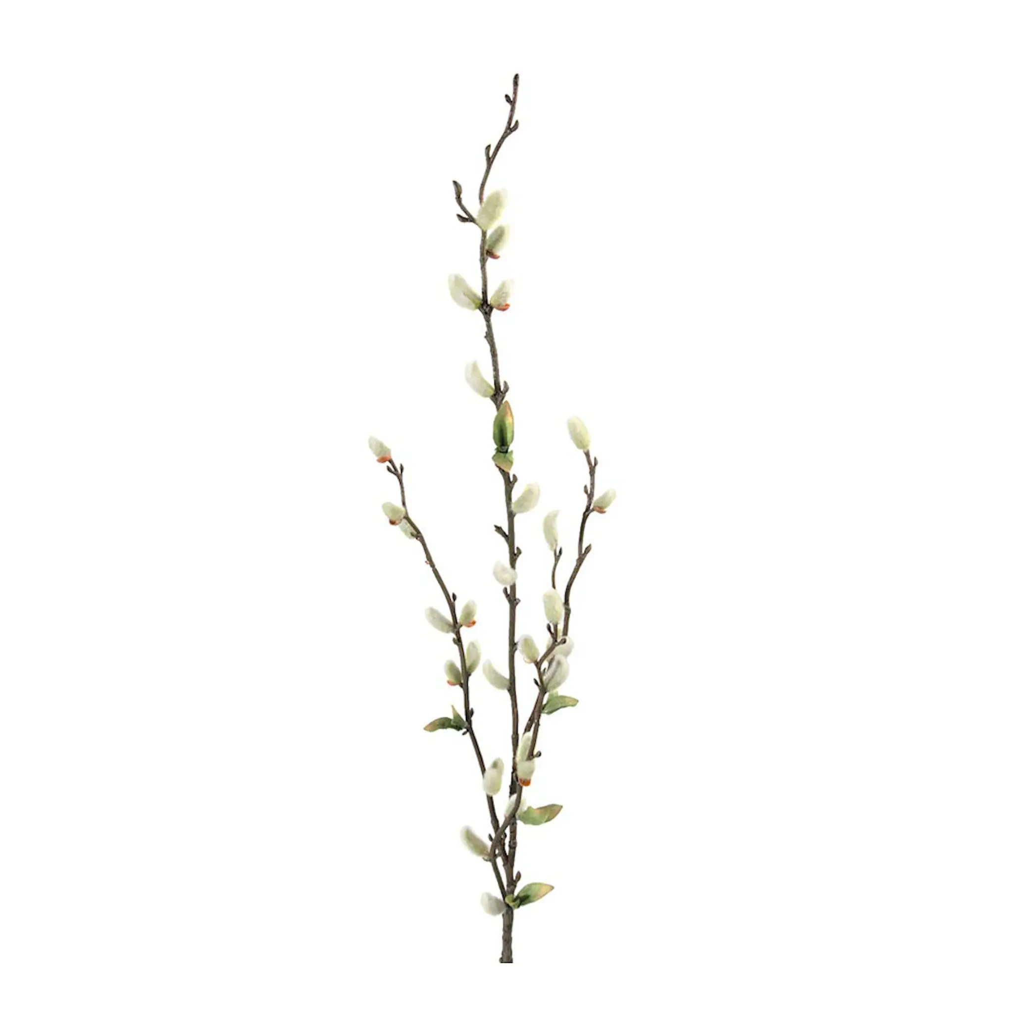 Mr Plant Vide 85 cm grön