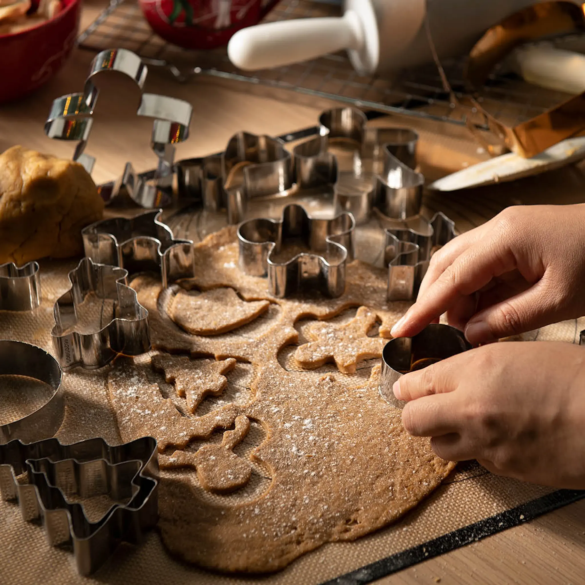 Modern House bAYk Pepparkaksform Älg