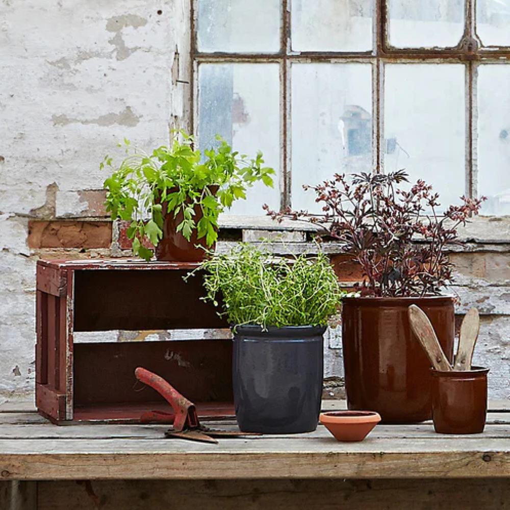 Knabstrup Keramik Kanabstrup Degskål 0,1 L Terracotta