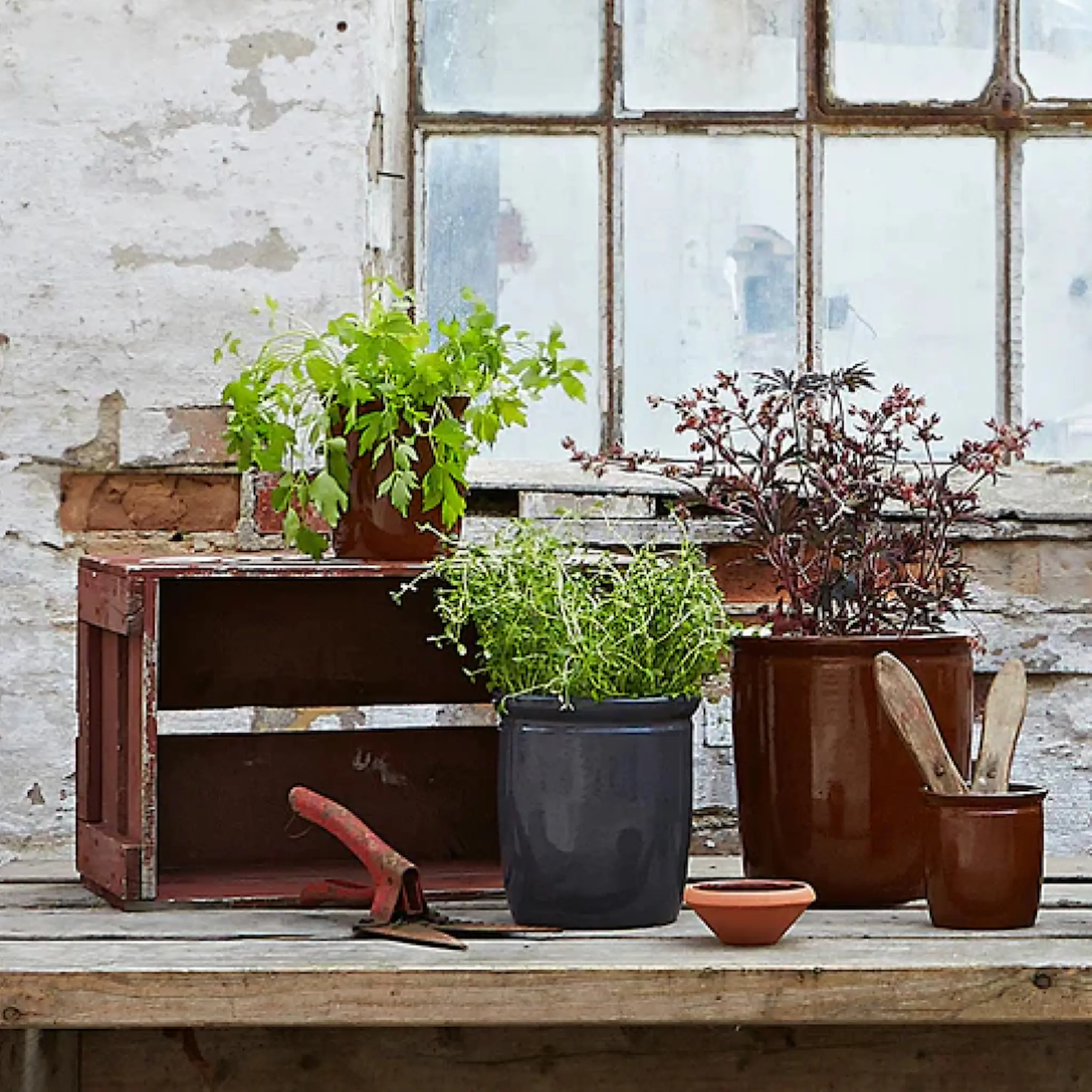 Knabstrup Keramik Kanabstrup Degskål 0,1 L Terracotta