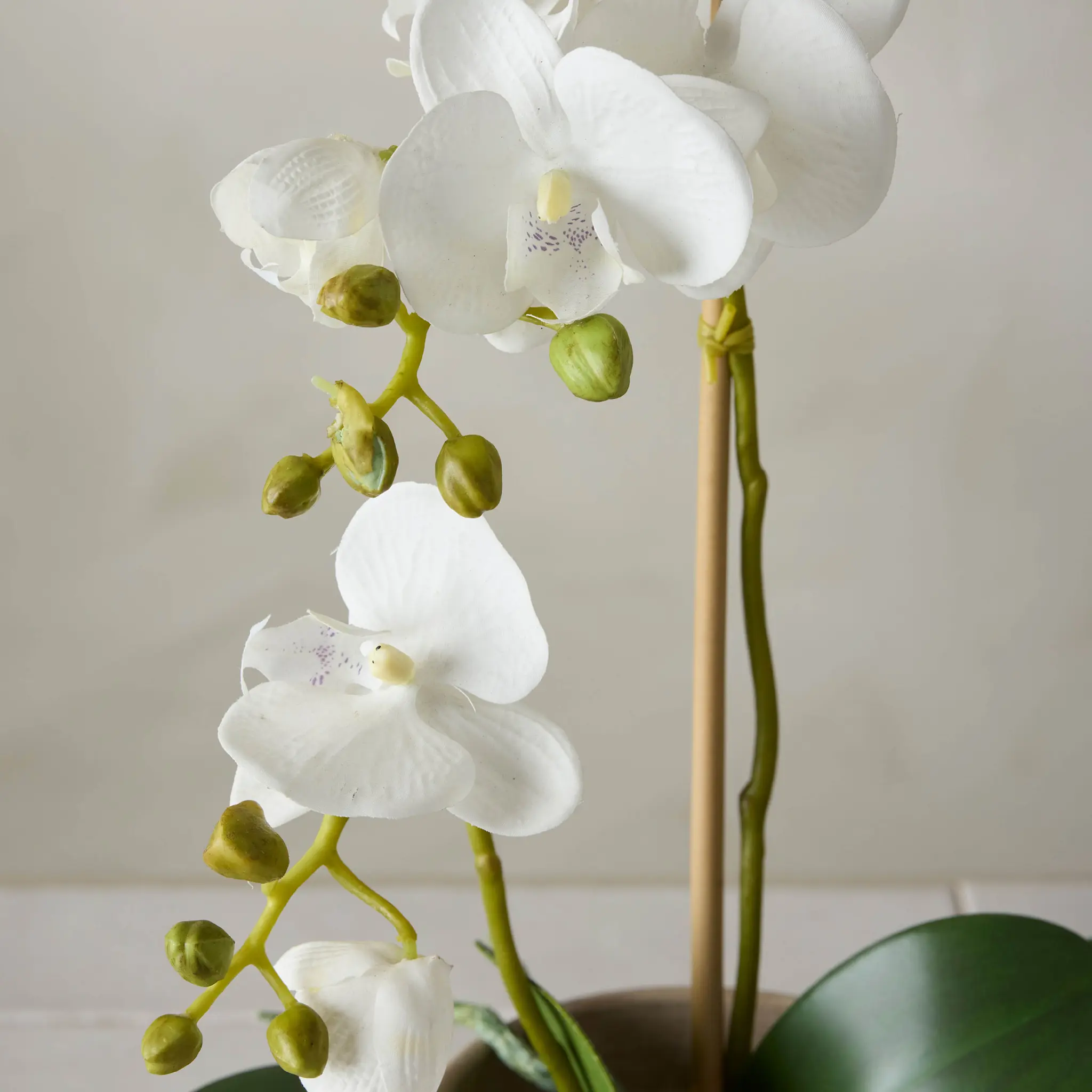 Mr Plant Phalaenopsis kunstig potteplante 45 cm hvit
