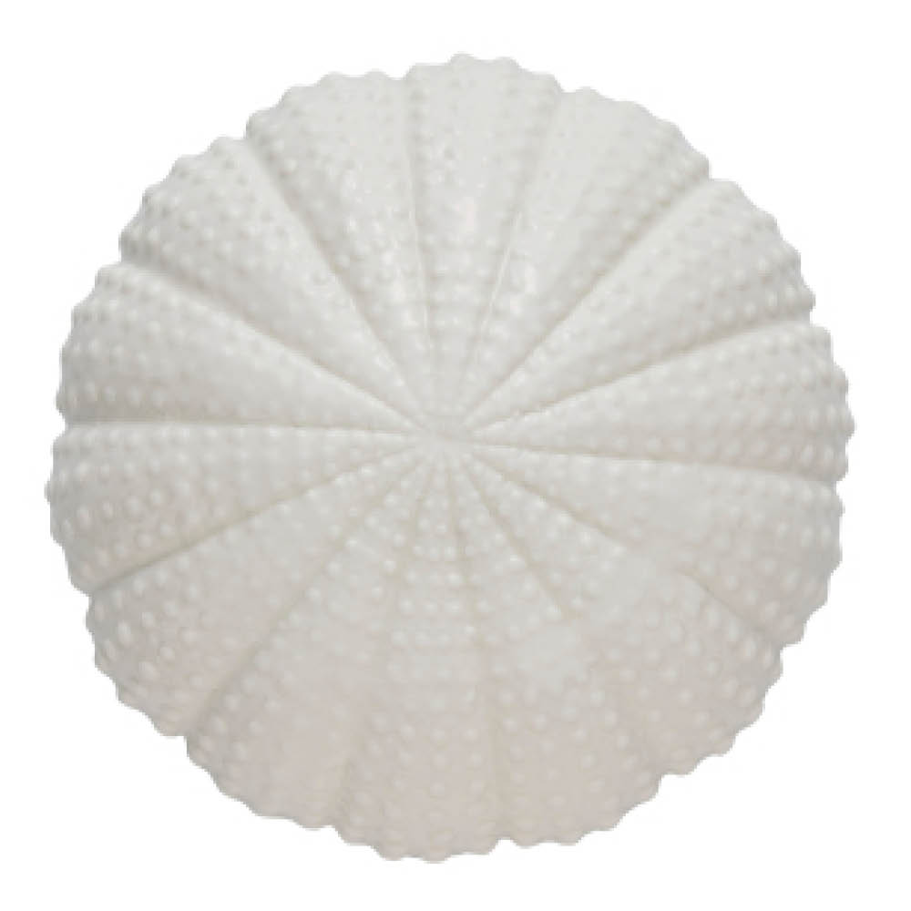 Lene Bjerre - Shellille koriste 8 cm valkoinen