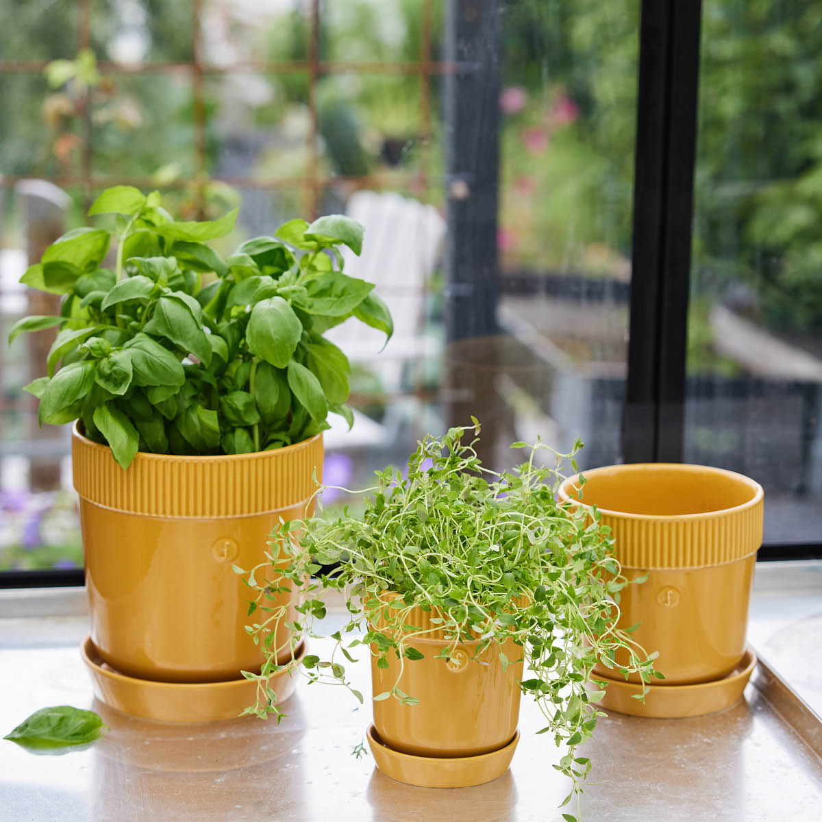 Sagaform Elise Yrttiruukku 11 cm Keltainen