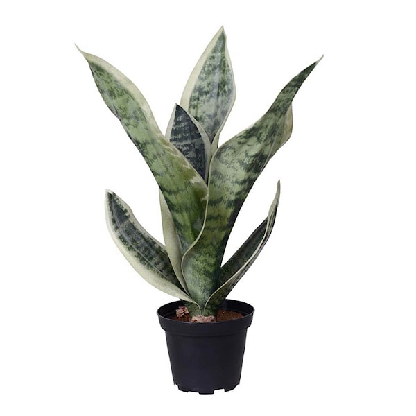 Sansiveria konstväxt 35 cm