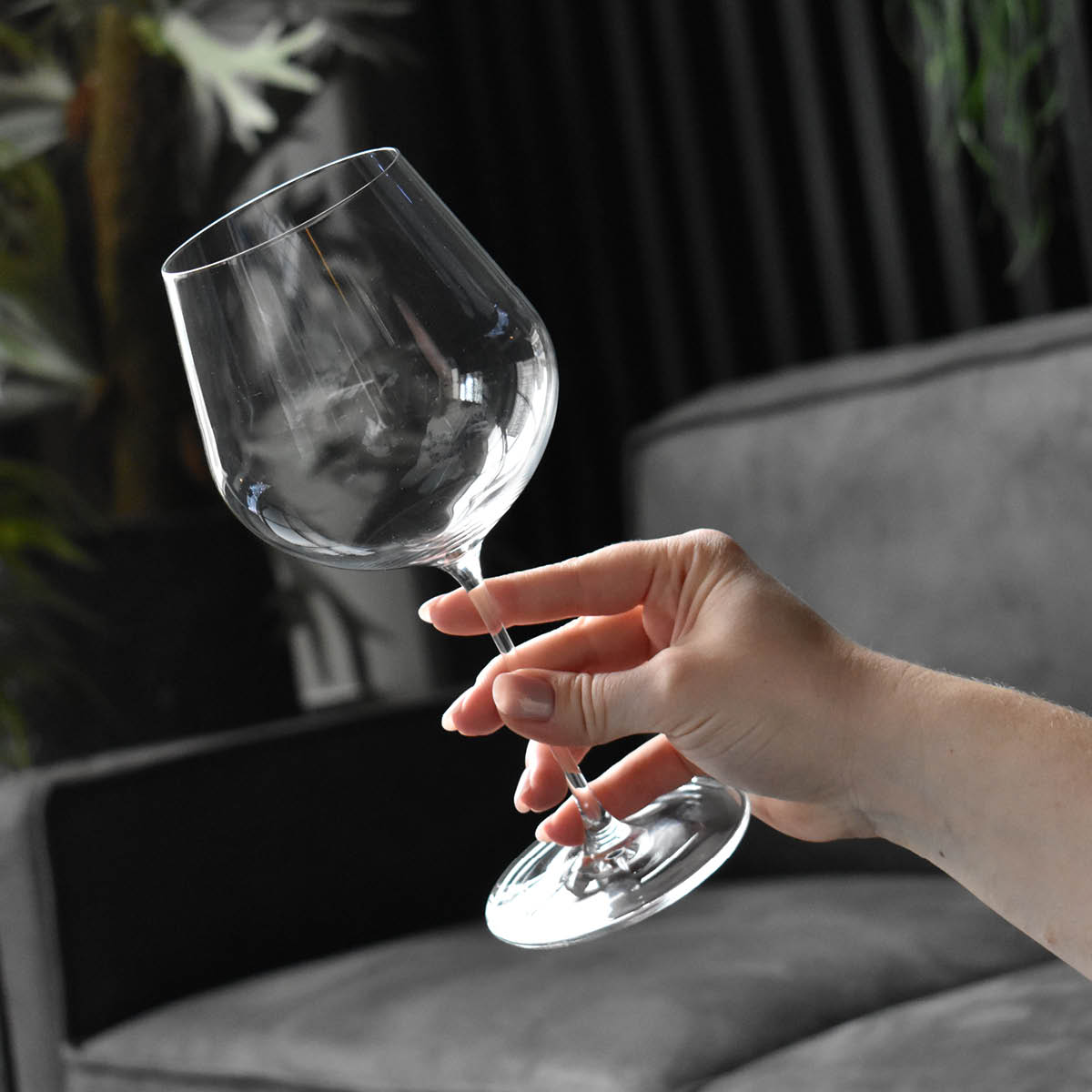 Zwiesel Glas Vuelo allround punaviinilasi 64 cl 2 kpl kirkas