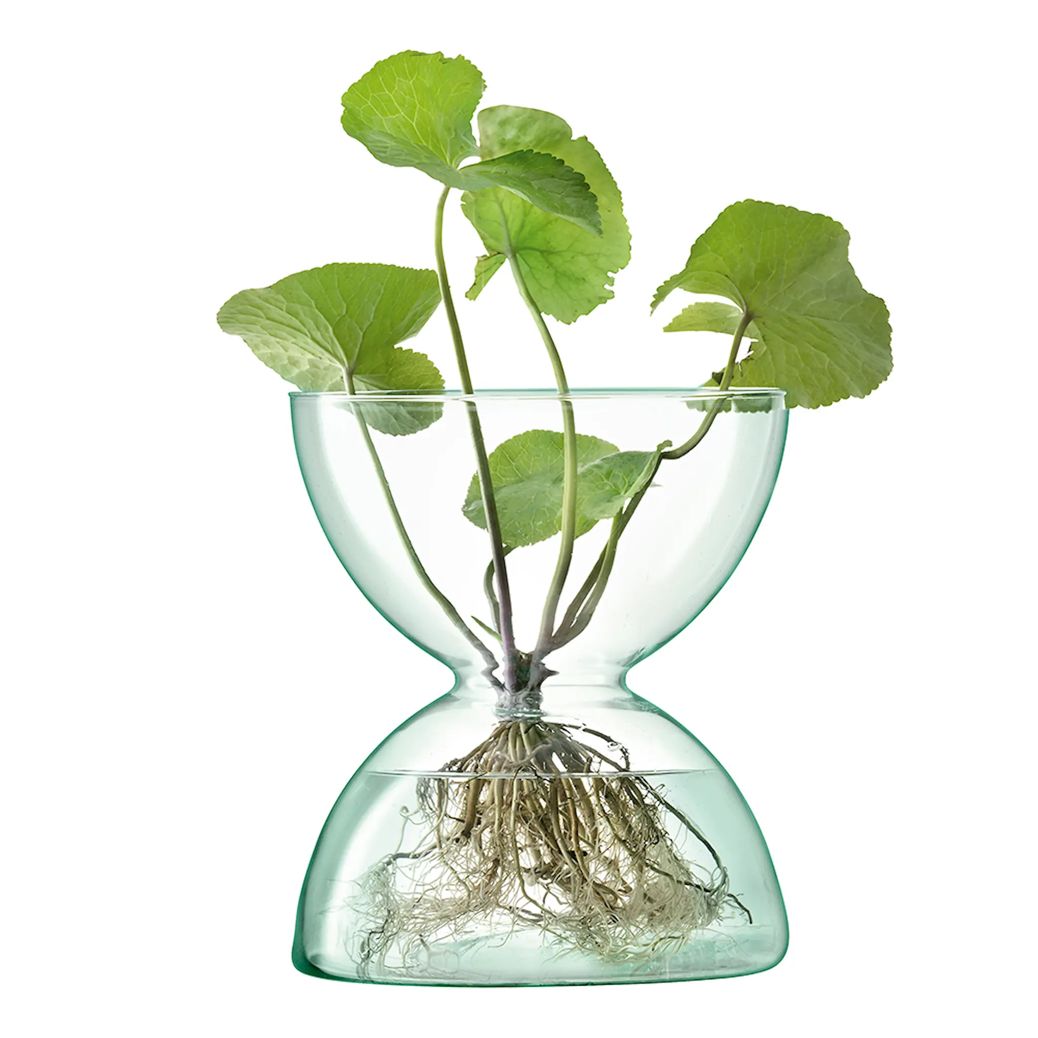 LSA International Canopy Vas 24 cm