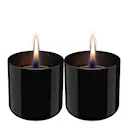 Lilly lykta 8 cm 2-pack med bränsle cm svart