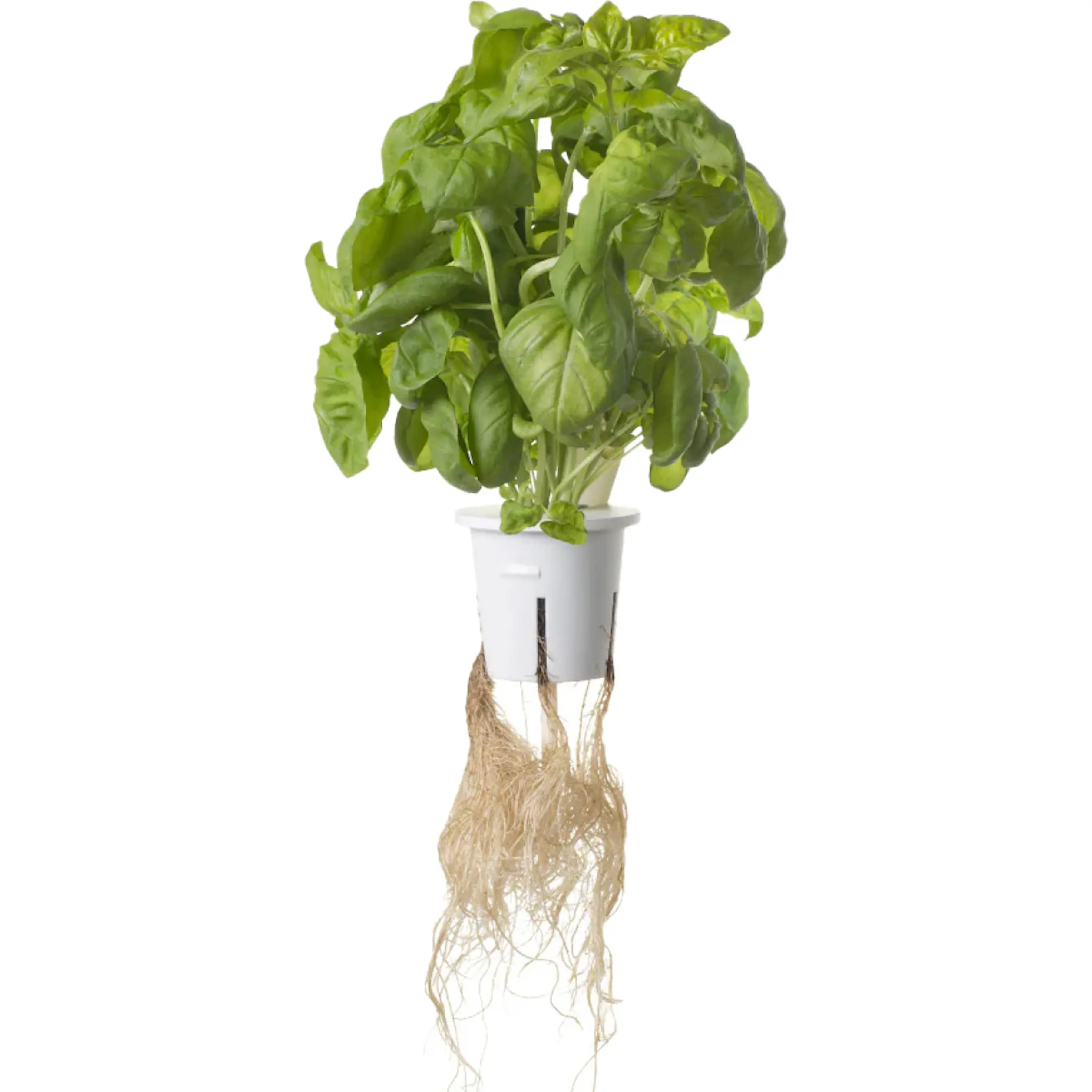 Click & Grow Pro Plant Cups odlingskrukor 9-pack