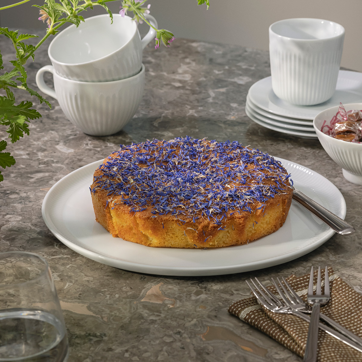 Eva Trio Legio Nova pizzatallerken 31,5 cm