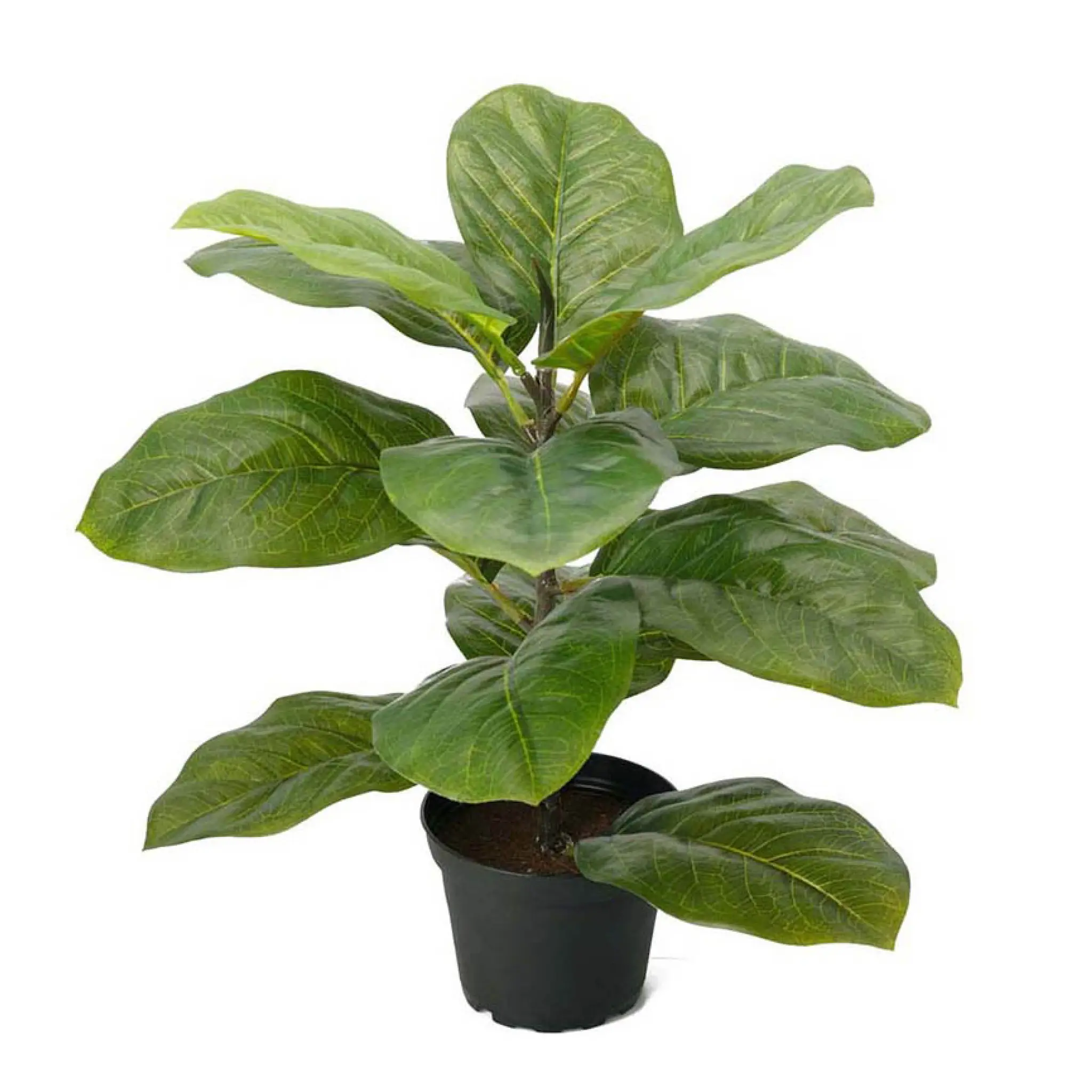 Mr Plant Fiolinfiken kunstig potteplante 40 cm grønn