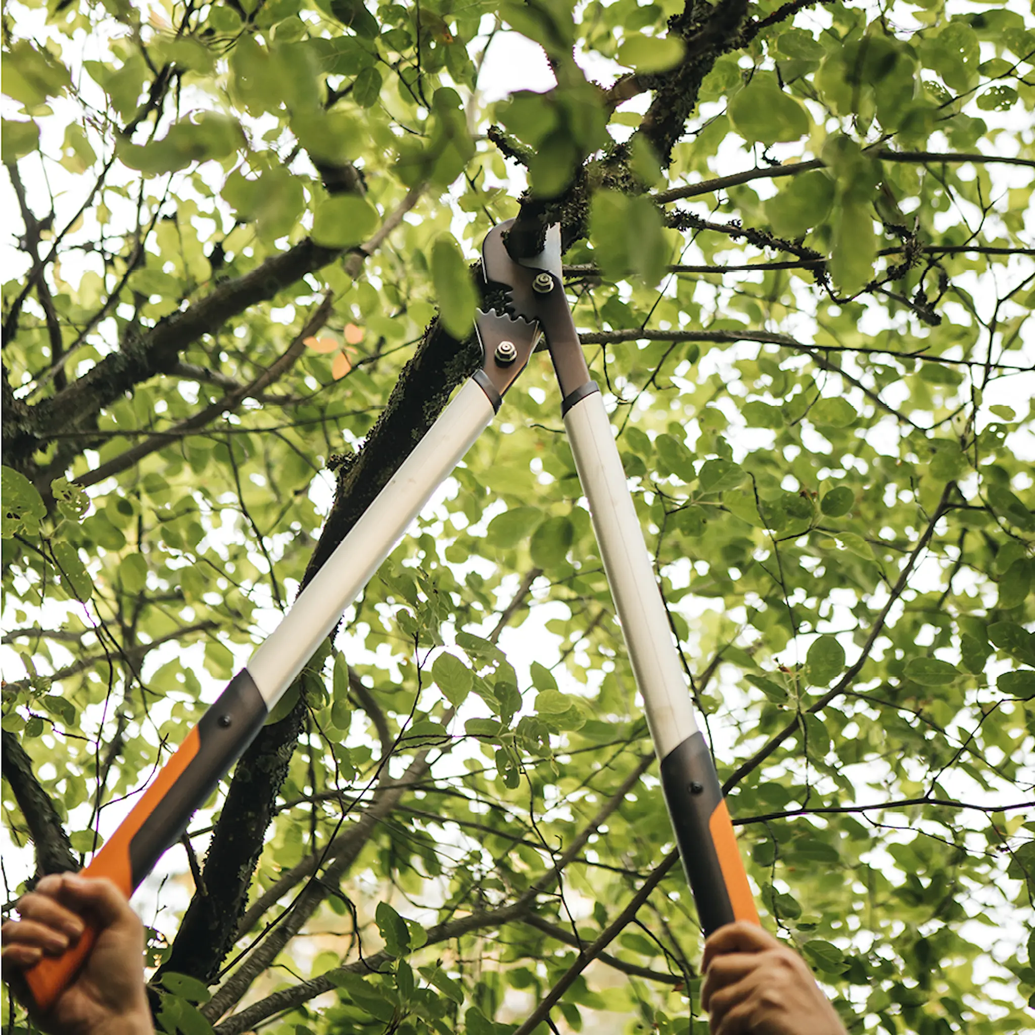 Fiskars PowerGear™ röjningstång grentång sidoskär L LX98 85 cm orange/svart