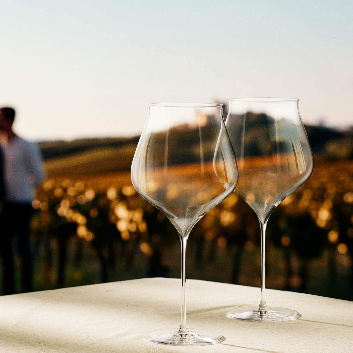 Holmegaard Notes Bourgognelasi 94 cl 2 kpl