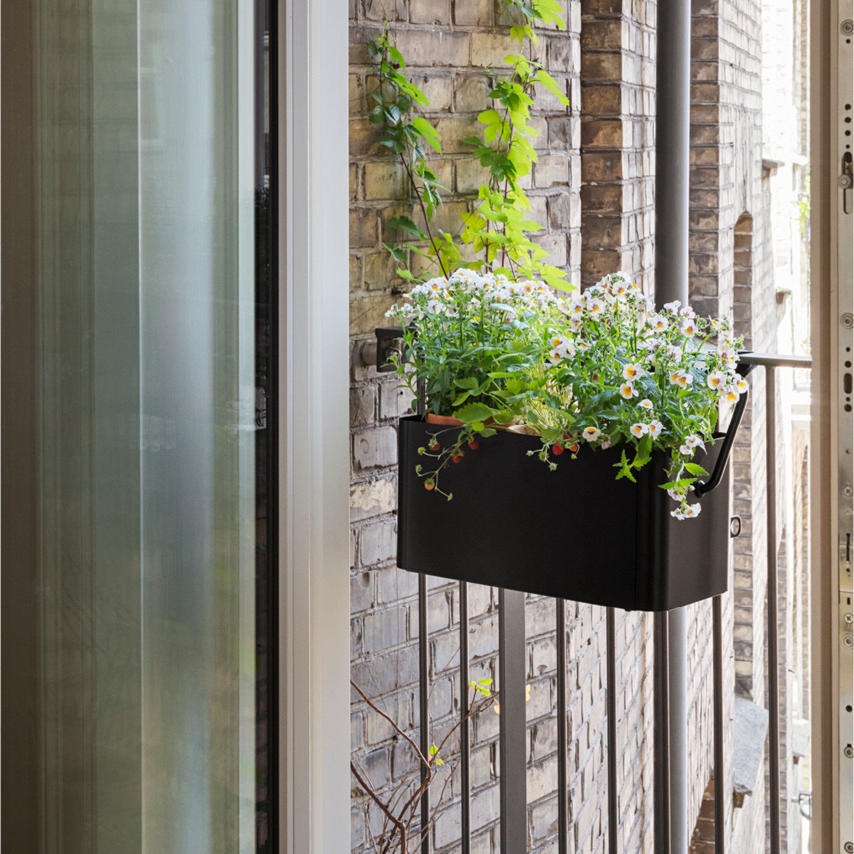 Eva Solo Simply Grow Balkonglåda 20x42x20 cm svart