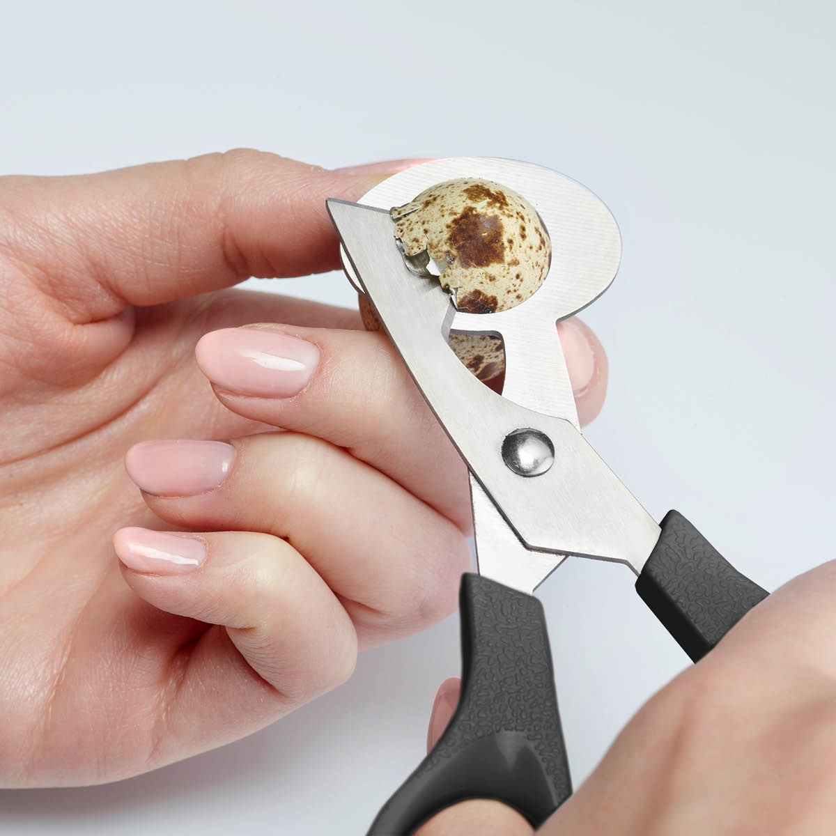 Westmark Vakteläggssax