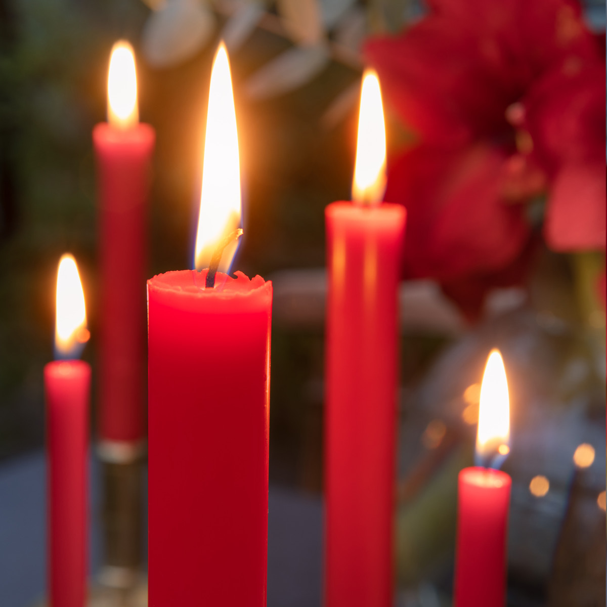 Liljeholmens Kruunukynttilä 20,6 cm 8 kpl Punainen