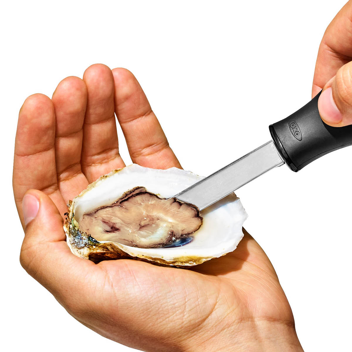 Oxo Ostronkniv 17 cm Svart