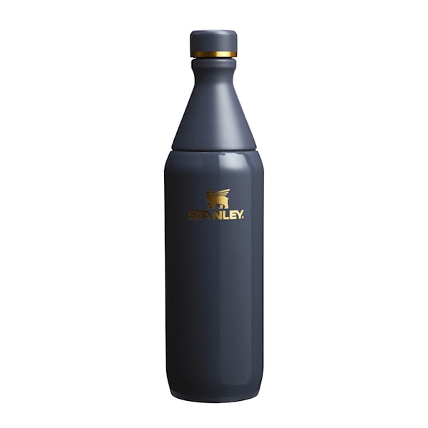 All Day termosflaska 0,6 L twilight gloss
