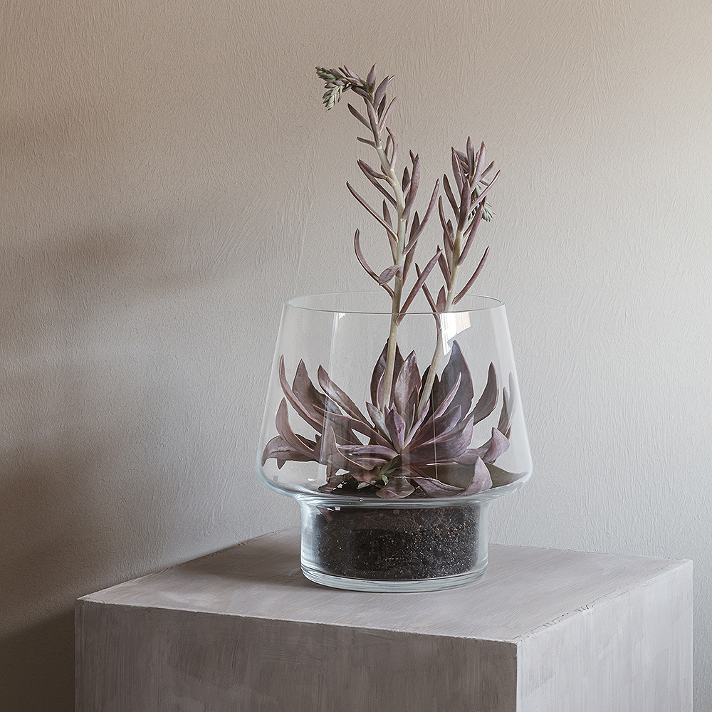 Eva Solo Lasimaljakko mehikasveille 21 cm