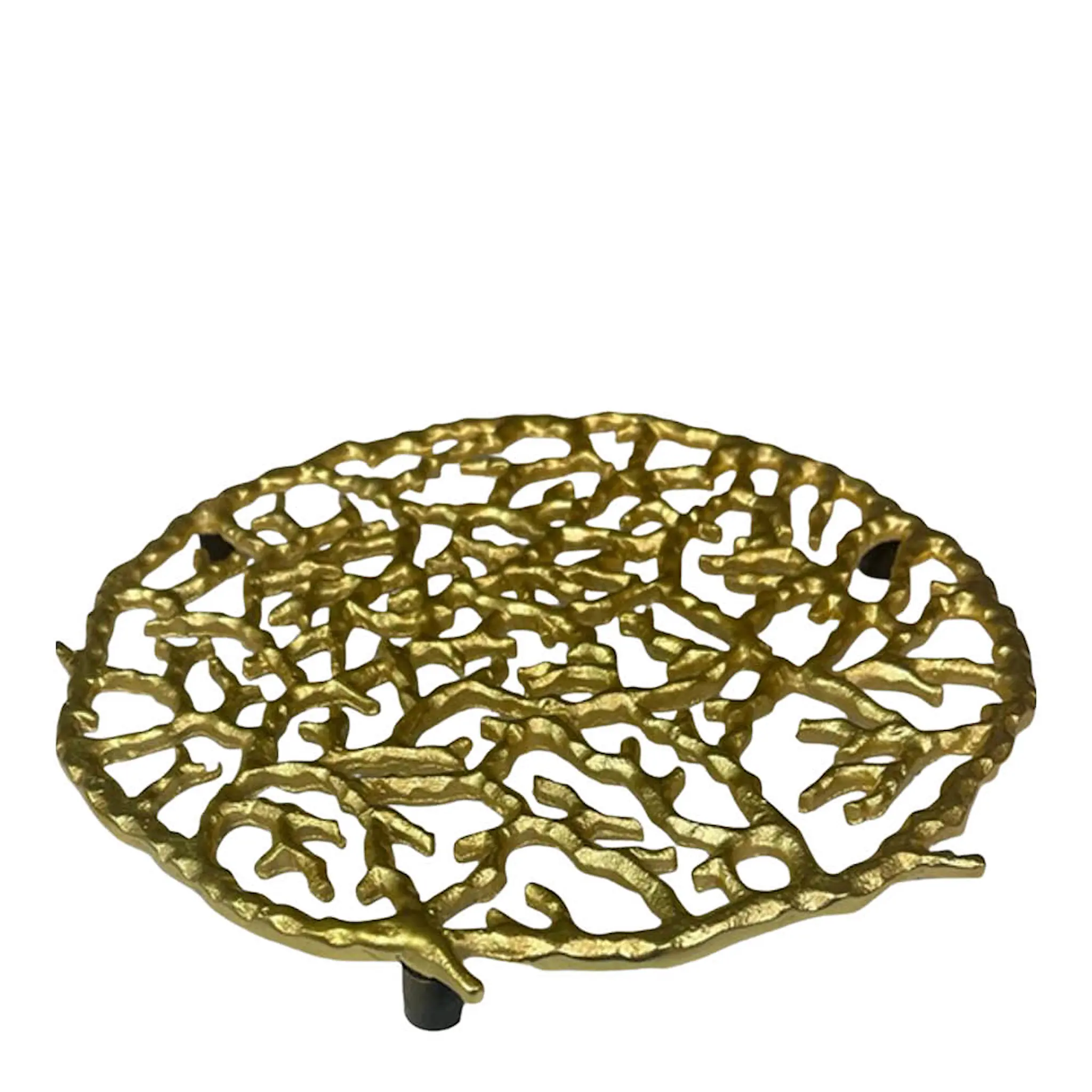 Culinary Concepts Coral Pannunalunen 23 cm Kulta