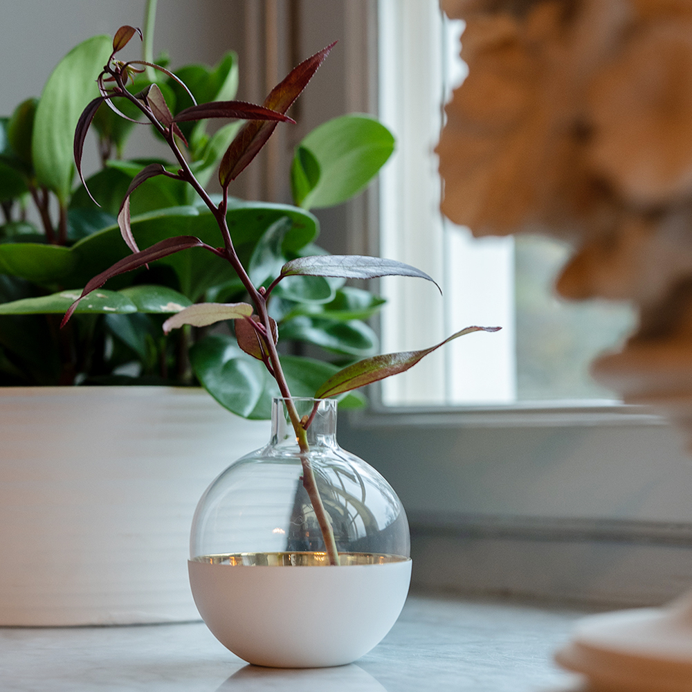 Skultuna Pomme Maljakko / Lyhty 15 cm Valkoinen/Messinki