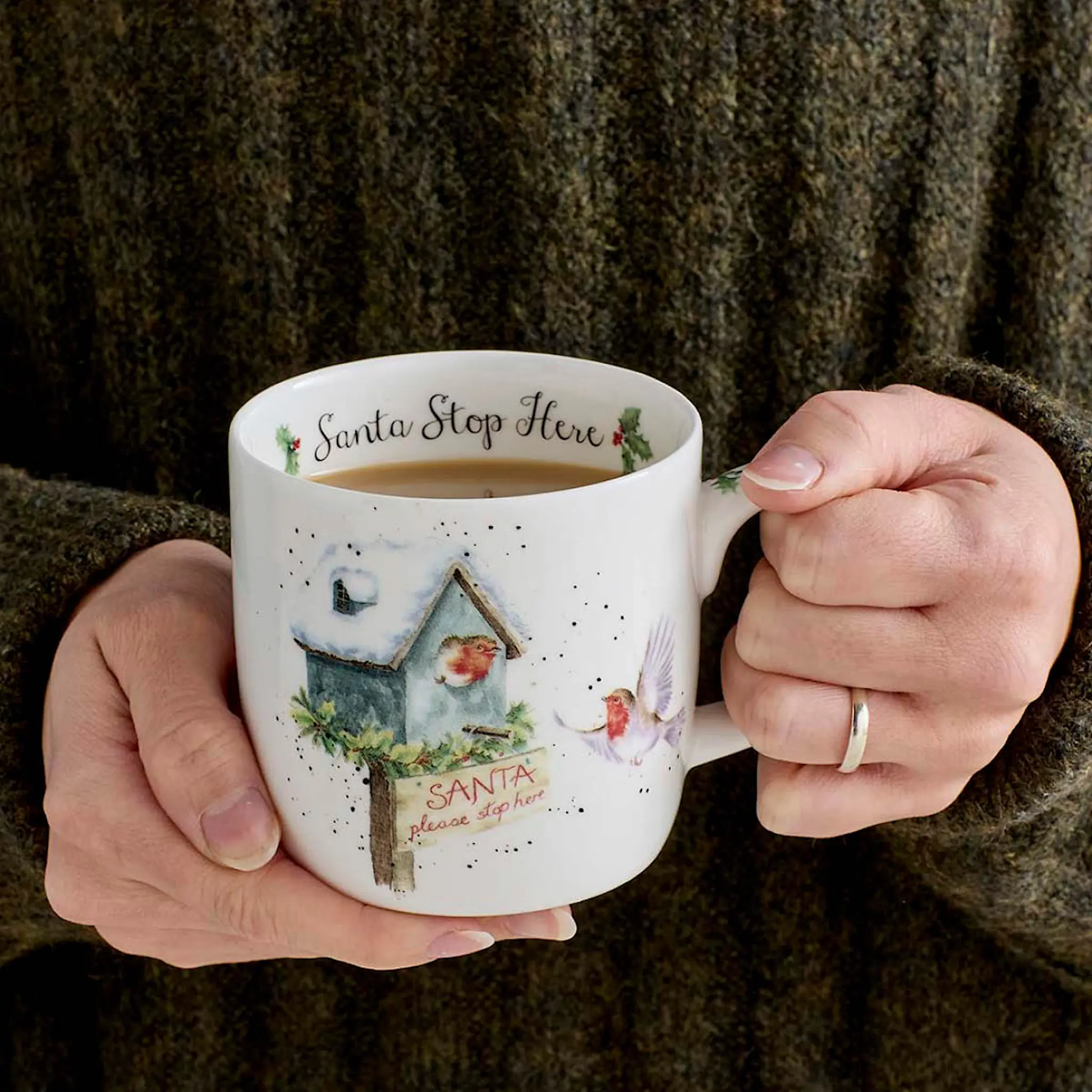 Royal Worcester Wrendale Designs muki 31 cl Santa Stop Here