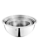 Cavaro skålset 4 delar stål