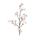 Körsbärsblomma 60 cm rosa
