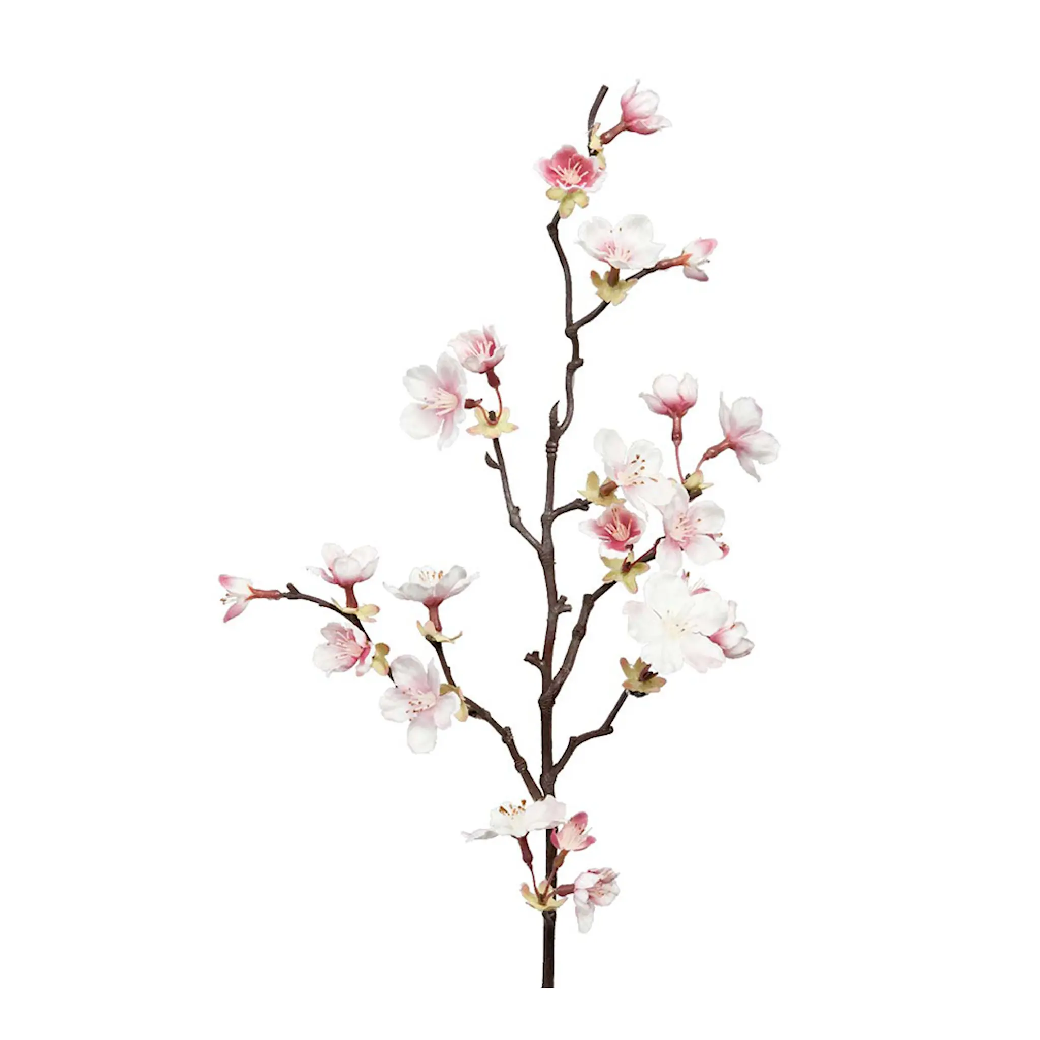 Mr Plant Körsbärsblomma 60 cm rosa