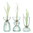 Canopy Trio Vas 13 cm 3-pack