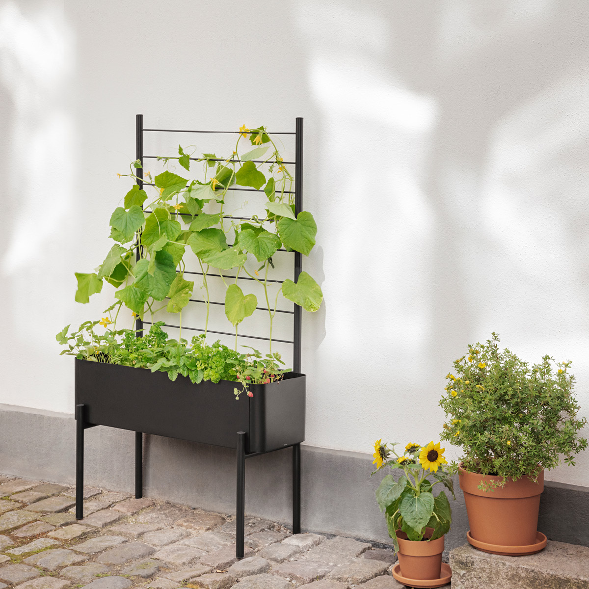 Eva Solo Simply Grow Spaljé till odlingslåda svart