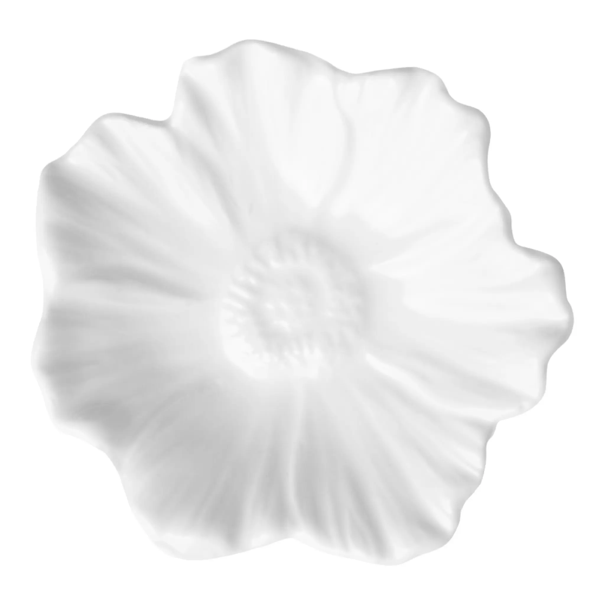 Stiernholm Flora Lautasliinarengas 6 cm Valkoinen