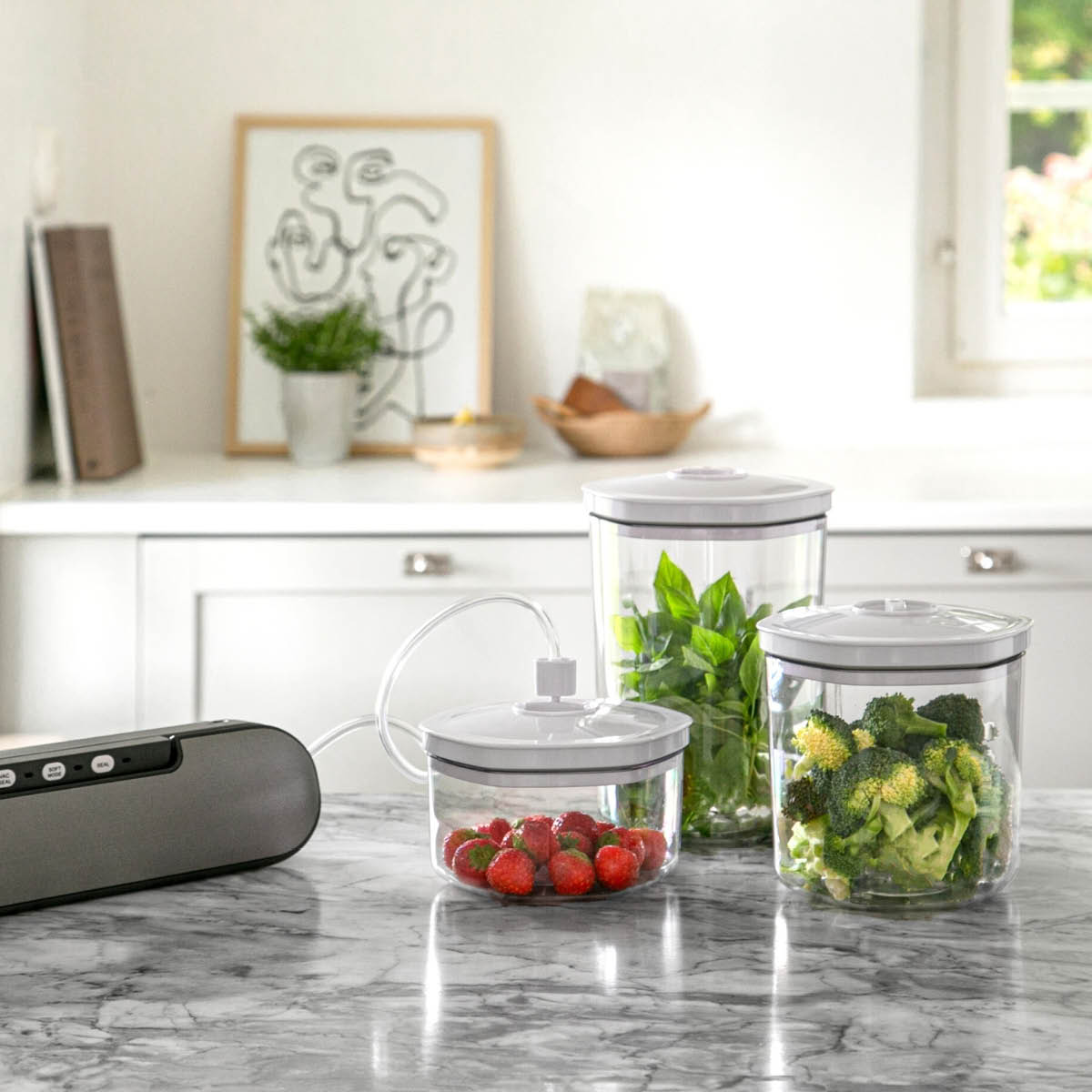 CHAMPION Vakuumbehållare 3-Pack