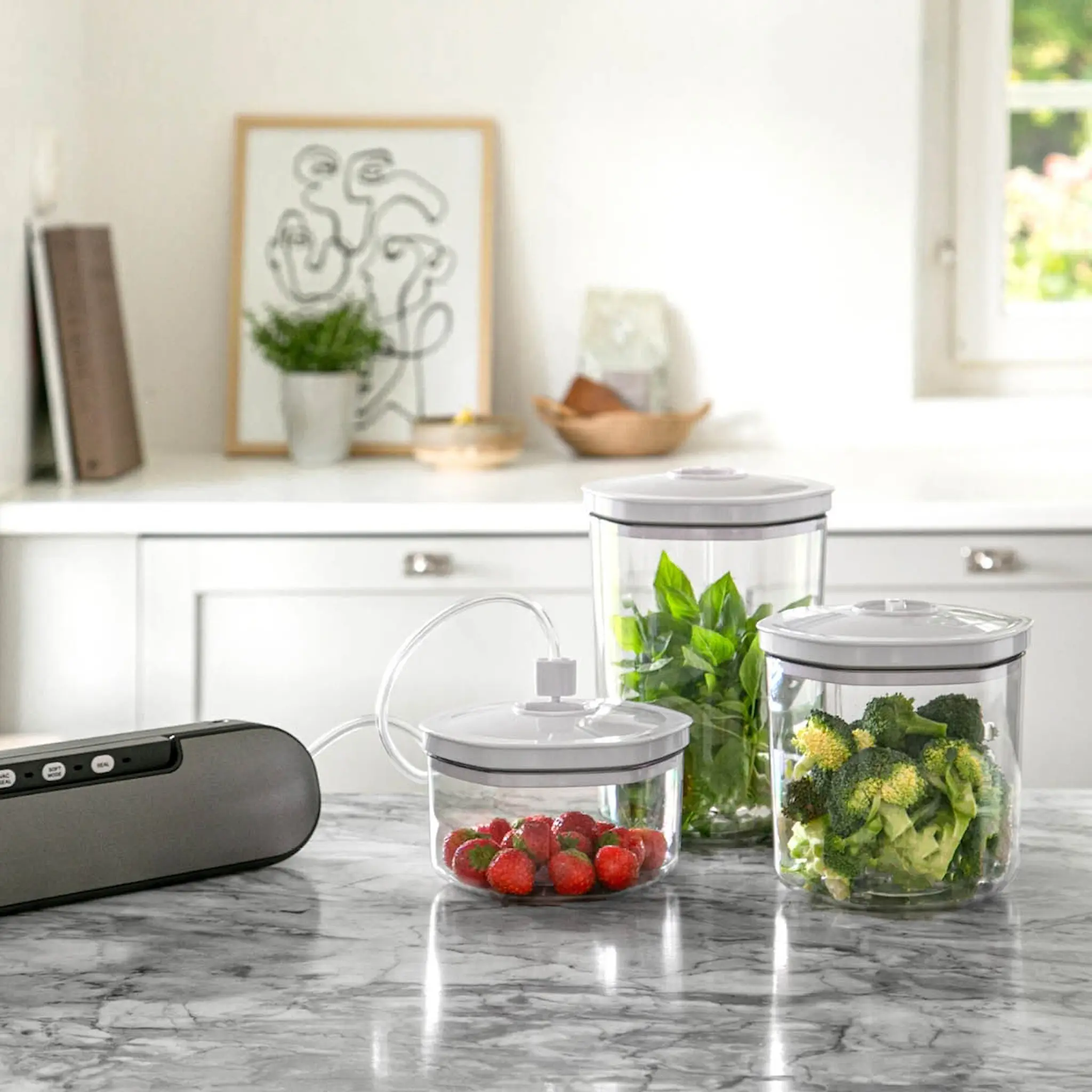 CHAMPION Vakuumbehållare 3-Pack