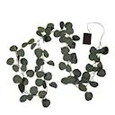 Ljusslinga eucalyptus 581-32 180 cm grön