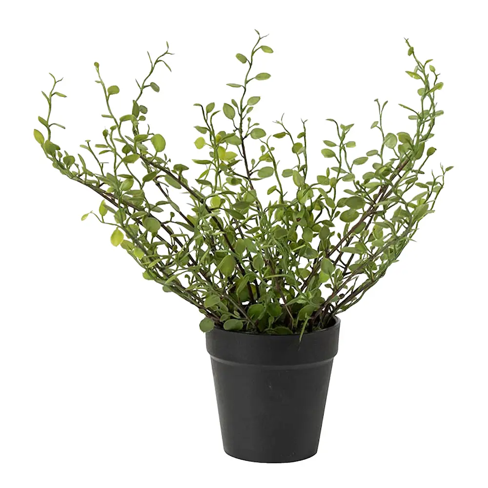 Muehlenbeckia kunstig potteplante 25 cm grønn
