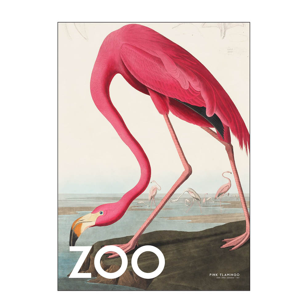 Poster & Frame - A.P. Atelier Juliste 30x40 cm The zoo collection  pink flamingo edt. 002
