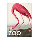 A.P. Atelier poster 30x40 cm the zoo collection  pink flamingo edt. 002