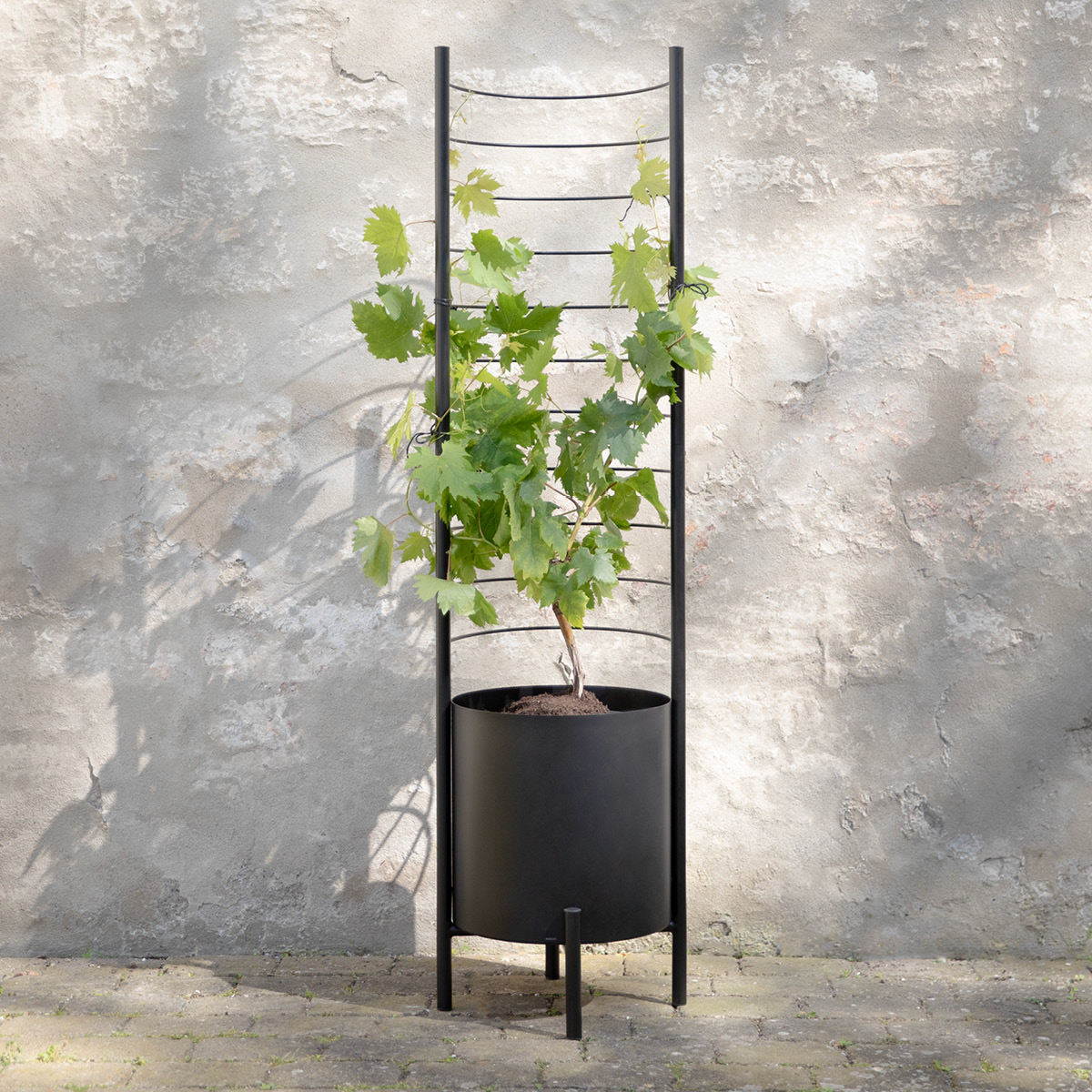 Eva Solo Simply Grow Säleikkö kukkaruukkuun Musta