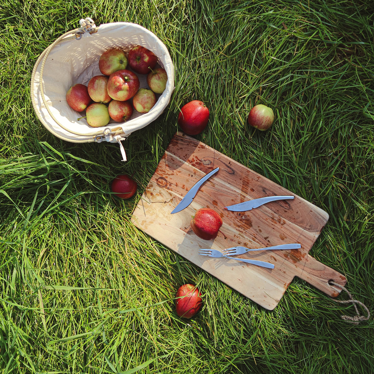 Hardanger bestikk Hardanger ost-og fruktkniver 2 stk